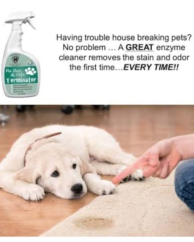 BUBBAS Pet Stain & Odor Terminator Vogelsberg Family Farm